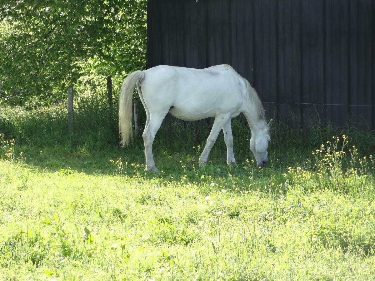 La Fermette Blanche Nadrin Exterior foto